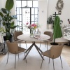 Forma dining chair - myhome